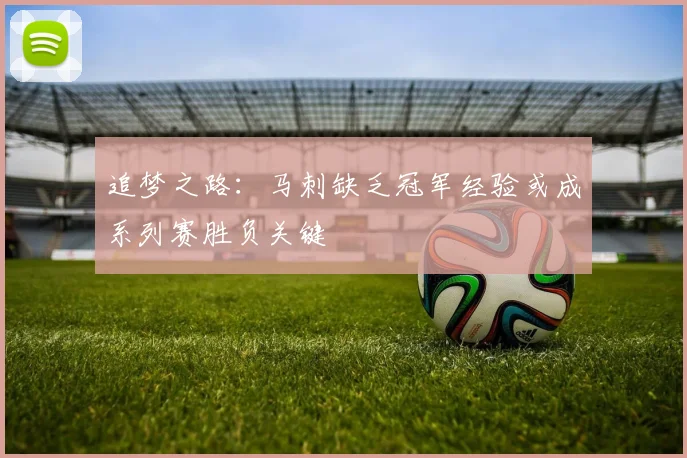 追梦之路：马刺缺乏冠军经验或成系列赛胜负关键